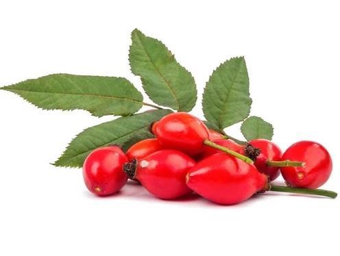 Grote foto rozenbottelolie rosehip olie groothandel beauty en gezondheid overige beauty en gezondheid