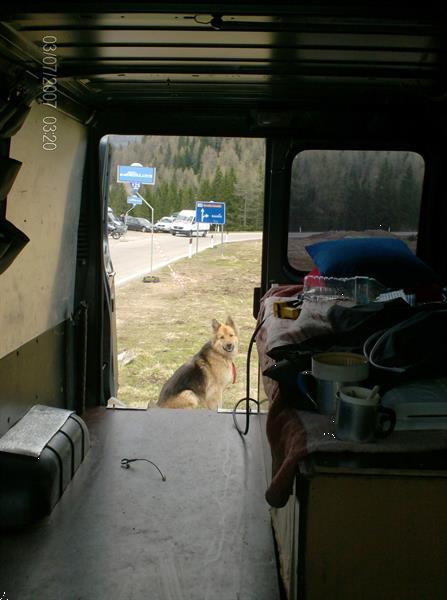 Grote foto camperbusje voor rolstoelgebruiker caravans en kamperen campers