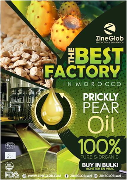 Grote foto zineglob moroccan prickly pear oil supplier beauty en gezondheid bodylotion