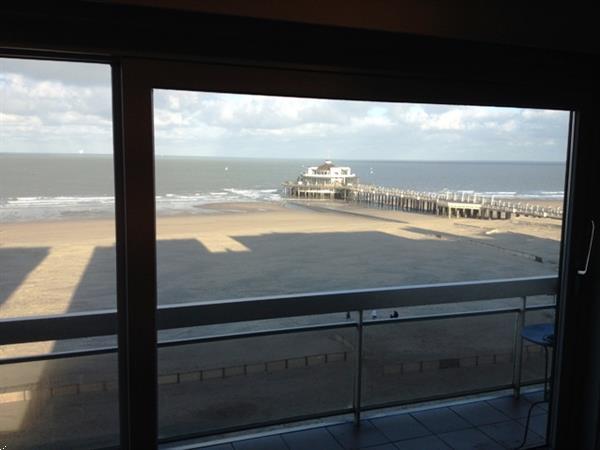 Grote foto prachtig appartement zeedijk blankenberge 4 6 vakantie belgi