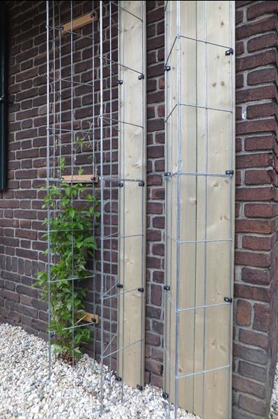 Grote foto klimplanten tegen schuttingen en muren. tuin en terras bloemen en planten