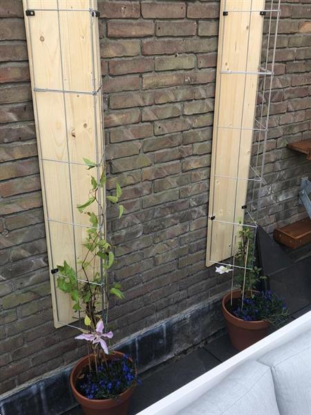 Grote foto klimplanten tegen schuttingen en muren. tuin en terras bloemen en planten