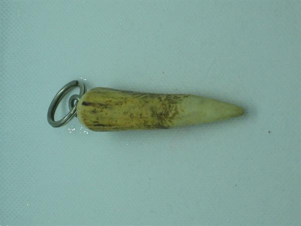 Grote foto sleutelhanger wortel peen tand verzamelen sleutelhangers