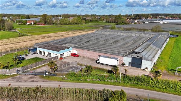 Grote foto tuinbouwbedrijf te koop wegens gezondheidsredenen agrarisch glastuinbouw