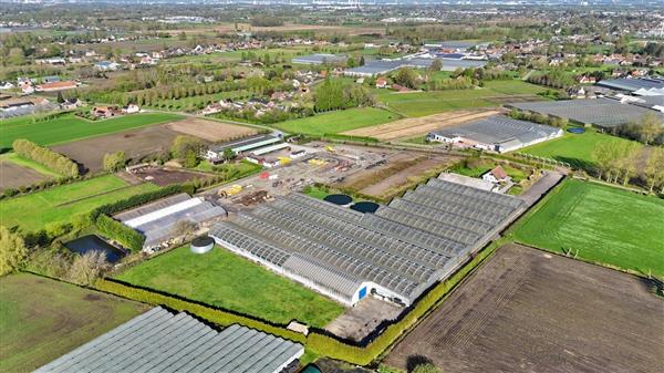 Grote foto tuinbouwbedrijf te koop wegens gezondheidsredenen agrarisch glastuinbouw