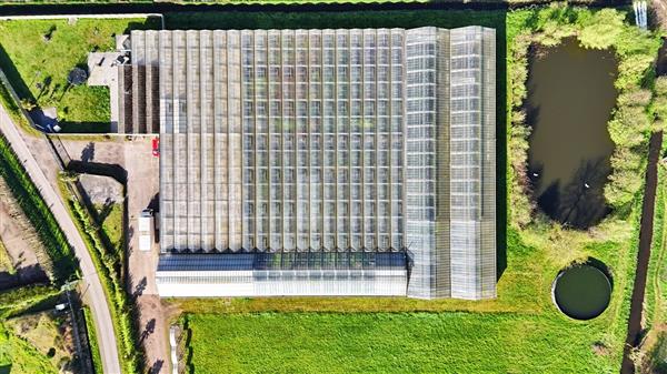 Grote foto tuinbouwbedrijf te koop wegens gezondheidsredenen agrarisch glastuinbouw