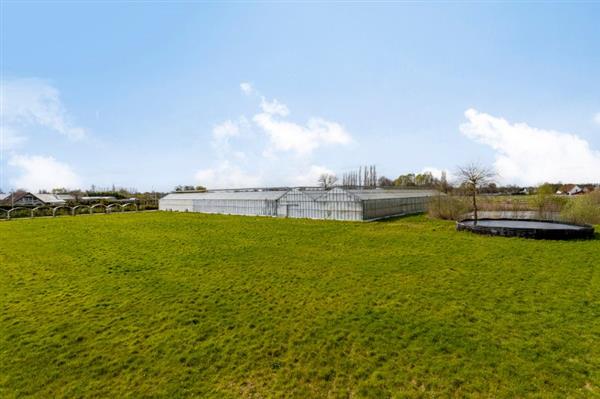 Grote foto tuinbouwbedrijf te koop wegens gezondheidsredenen agrarisch glastuinbouw