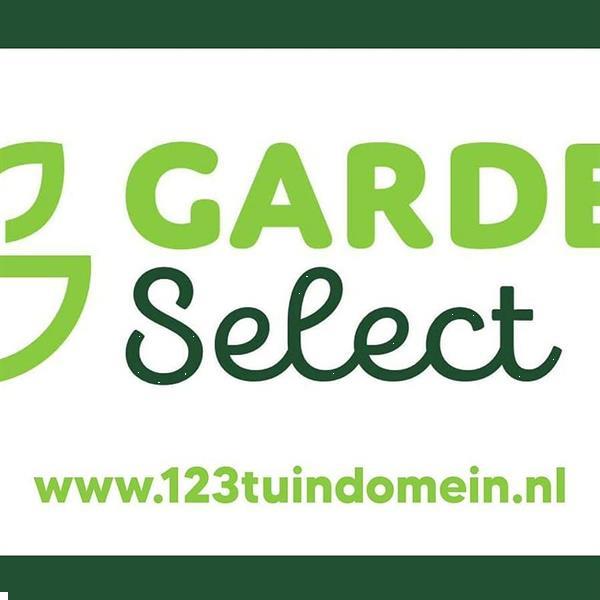 Grote foto bloembollen en zaden direct online bestellen tuin en terras bloembollen en zaden