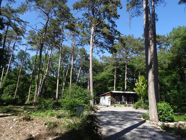 Grote foto huis te huur in durbuy bij bos hond welkom. vakantie belgi