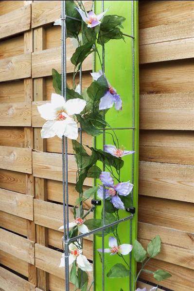 Grote foto klimplanten tegen tuinschermen en schuttingen tuin en terras bloemen en planten