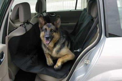 Grote foto polyester autodekens voor uw hond op achterbank. dieren en toebehoren toebehoren