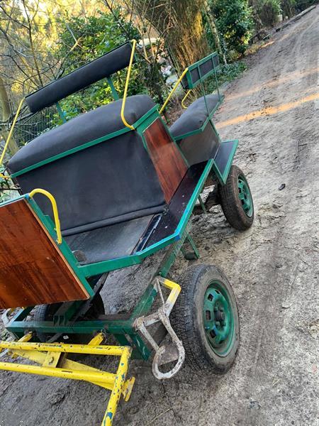 Grote foto koets enkelspan dieren en toebehoren rijtuigen en koetsen