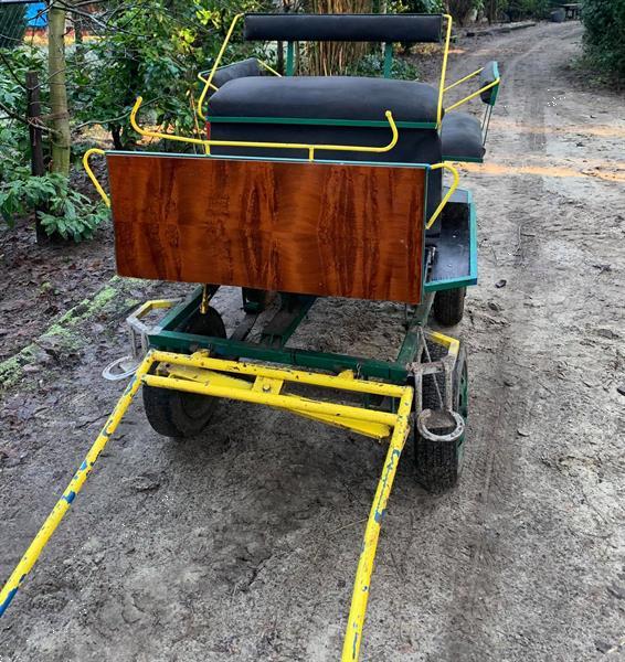 Grote foto koets enkelspan dieren en toebehoren rijtuigen en koetsen