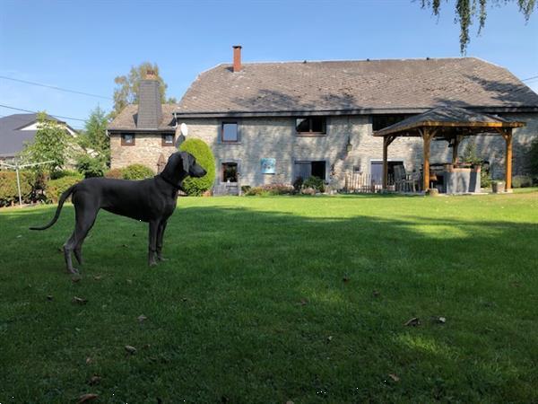 Grote foto juli korting op uw huursom gite ardennais vakantie belgi