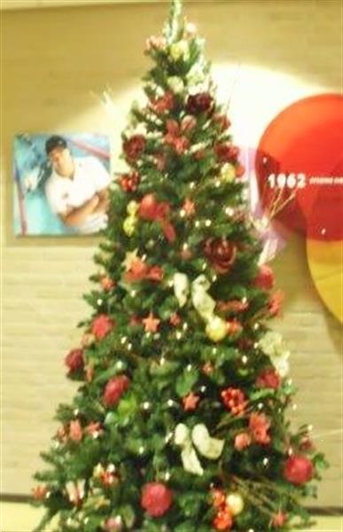 Grote foto kerstboom huren versiering levering kerstbomen diversen kerst