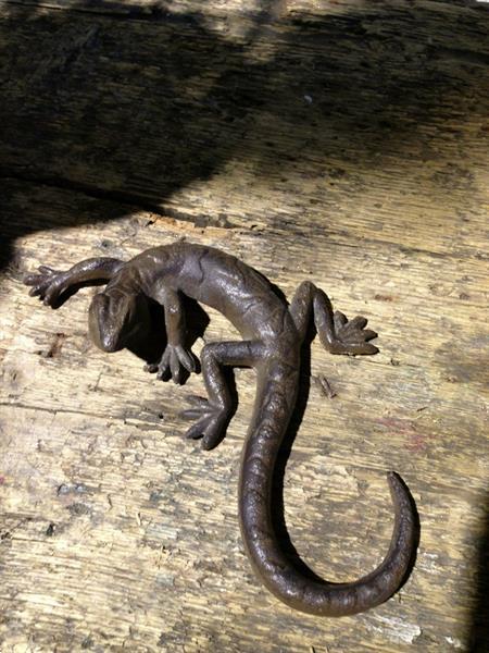 Grote foto salamander mooie hagedis decoratie gecko van gietijzer tuin en terras tuindecoratie