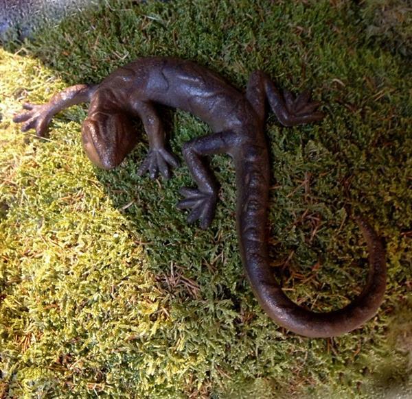 Grote foto salamander mooie hagedis decoratie gecko van gietijzer tuin en terras tuindecoratie