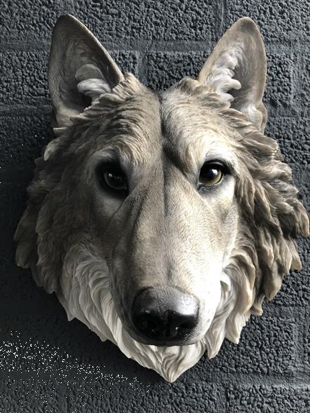 Grote foto prachtige wolvenkop polystein mooie expressie verzamelen beelden en beeldjes