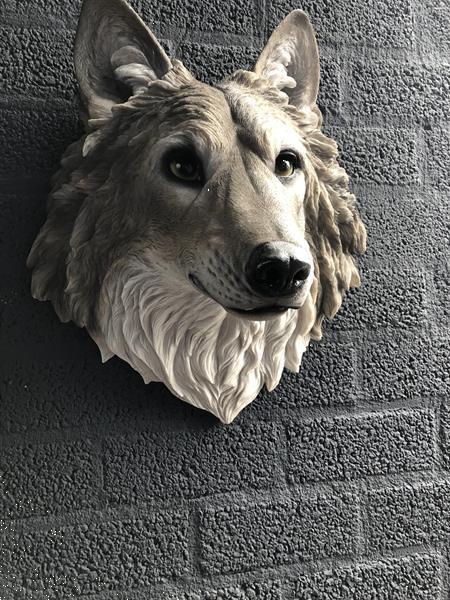 Grote foto prachtige wolvenkop polystein mooie expressie verzamelen beelden en beeldjes