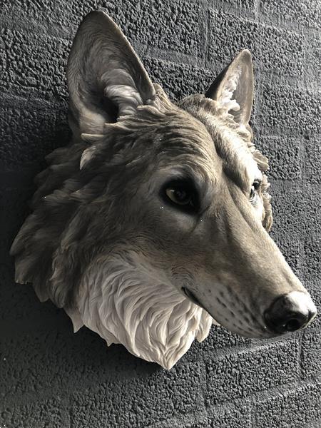 Grote foto prachtige wolvenkop polystein mooie expressie verzamelen beelden en beeldjes