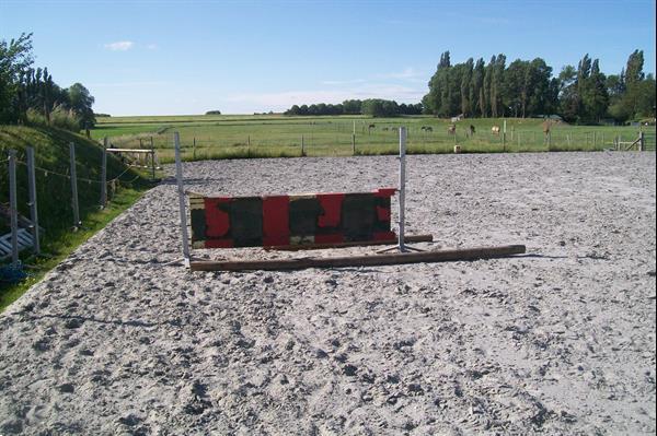 Grote foto stalling met weide en piste te huur dieren en toebehoren stalling en weidegang