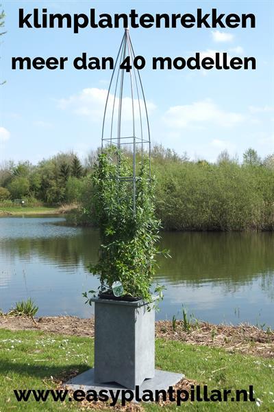 Grote foto klimplantenrekken in plantenbakken en bloembakken tuin en terras bloembakken