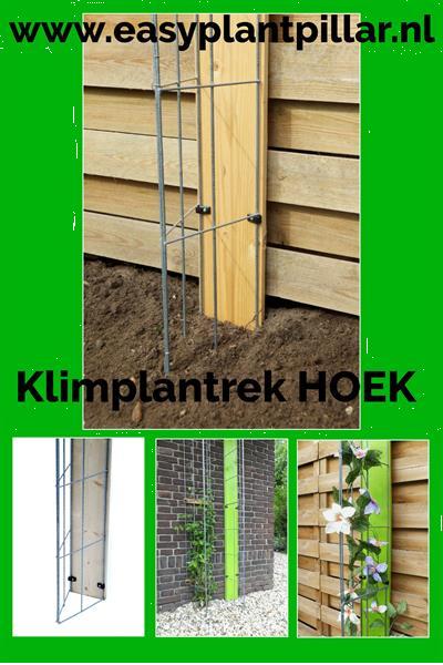 Grote foto klimplantenrekken in plantenbakken en bloembakken tuin en terras bloembakken