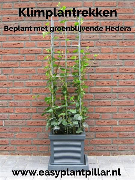 Grote foto klimplantenrekken in plantenbakken en bloembakken tuin en terras bloembakken