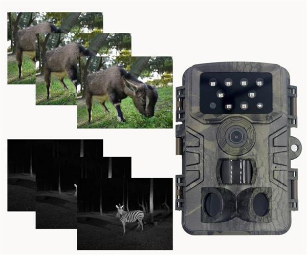 Grote foto wildlife camera buiten wildcamera nachtzicht 20mp fullhd wat audio tv en foto algemeen