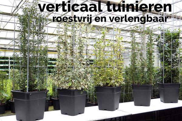 Grote foto plantenrekken voor palen van overkappingen tuin en terras tuinhout en palen