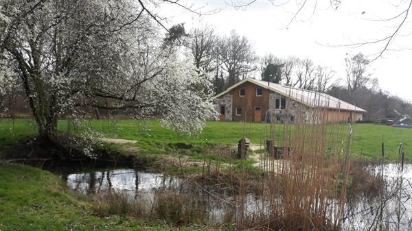 Grote foto natuurhuisje in ambt delden bentelo vakantie nederland midden