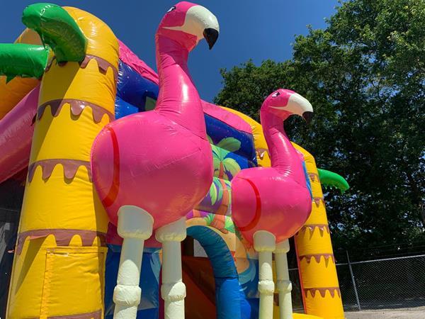 Grote foto flamingo springkasteel te huur kinderen en baby trampolines en springkussens