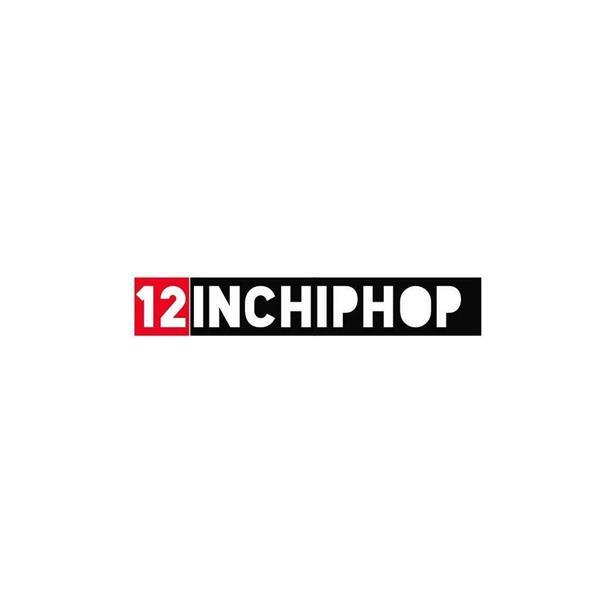 Grote foto meerdere hiphop 12 singles te koop cd en dvd hiphop en rap