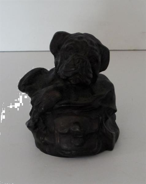 Grote foto hond in een mandje antiek en kunst koper en brons