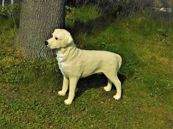 Grote foto tuinbeeld van een grote hond golden retriever tuin en terras tuinbeelden en tuinkabouters