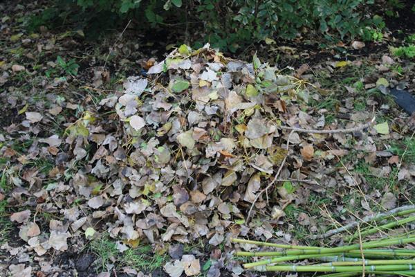 Grote foto kraffter bio versnipperaar 8cm aftakas tuin en terras tuingereedschap