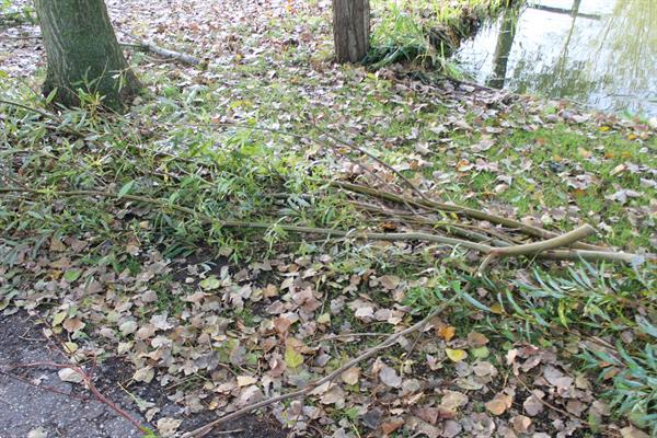 Grote foto kraffter bio versnipperaar 8cm aftakas tuin en terras tuingereedschap