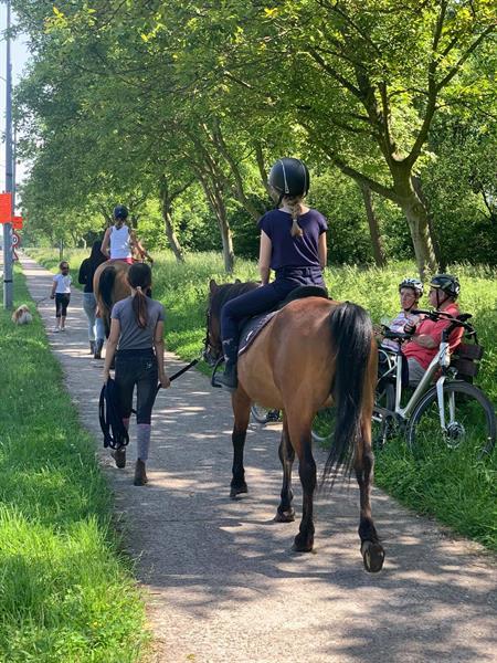 Grote foto zomerkamp het hey hof diensten en vakmensen oppas en kinderopvang