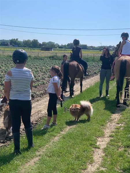 Grote foto zomerkamp het hey hof diensten en vakmensen oppas en kinderopvang