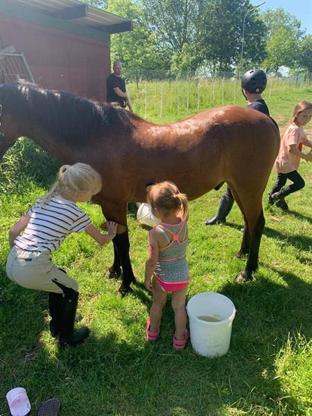 Grote foto zomerkamp het hey hof diensten en vakmensen oppas en kinderopvang