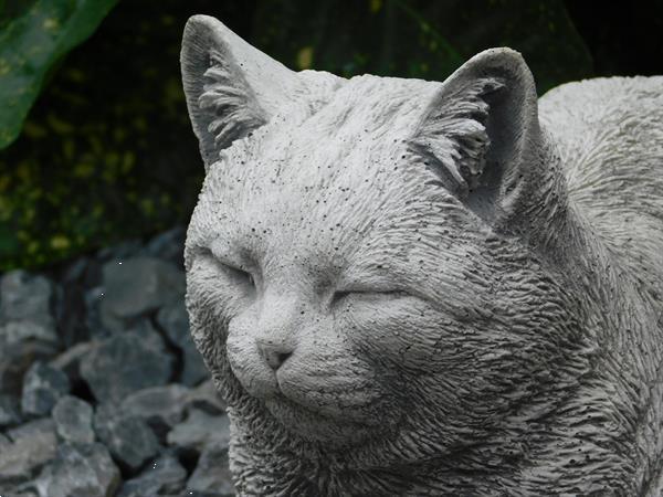 Grote foto stenen beeld van een poes kat zwaar tuinbeeld tuin en terras tuinbeelden en tuinkabouters