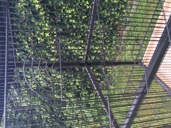 Grote foto 2 grote volieres vogelkooien voor 190 euro dieren en toebehoren toebehoren