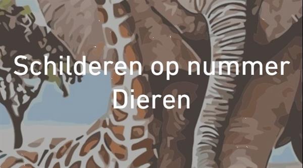 Grote foto schilderen op nummer dieren antiek en kunst abstract