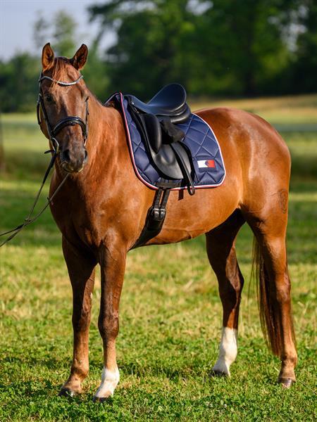 Grote foto th performance saddle pad macro maxx color desert sky si dieren en toebehoren paarden accessoires