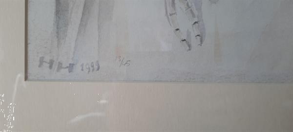 Grote foto kleurenlithografie stilleven fruit tafel antiek en kunst litho en zeefdrukken