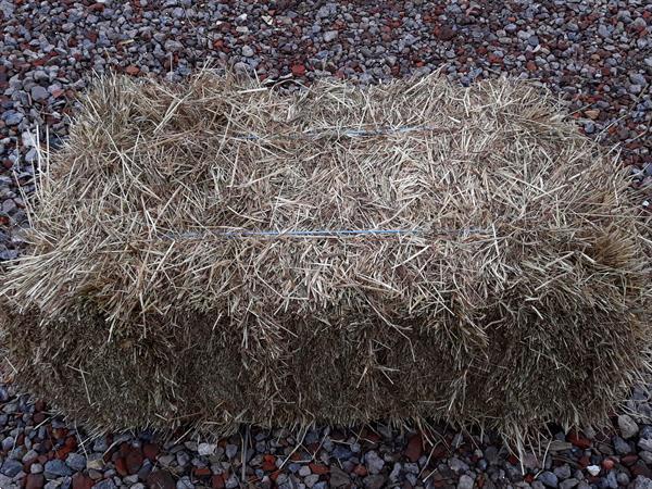 Grote foto hooi stro voordroog en voederbieten agrarisch algemeen