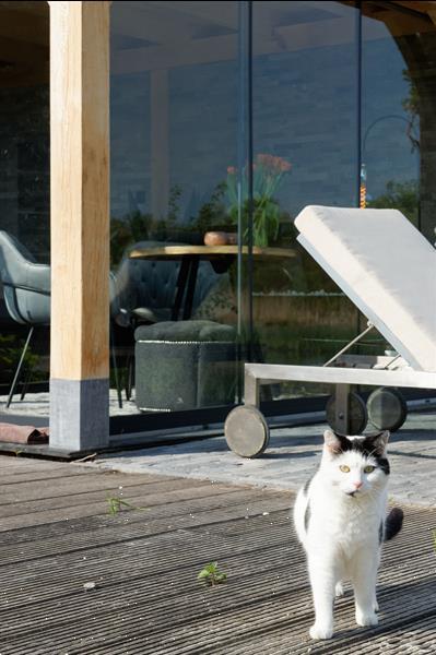 Grote foto houten tuinkamer tuin en terras veranda en overkappingen