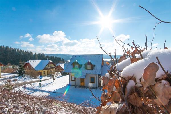 Grote foto luxe vakantiewoningen bij skipiste in tsjechie vakantie wintersport