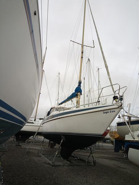 Grote foto zeilboot neptun 32 ms watersport en boten kajuitzeilboten en zeiljachten