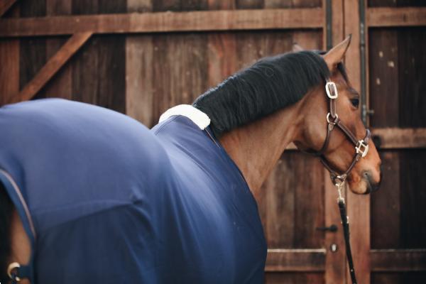 Grote foto zweetdeken fleece navy color navy size 140 190 6 3 dieren en toebehoren paarden accessoires